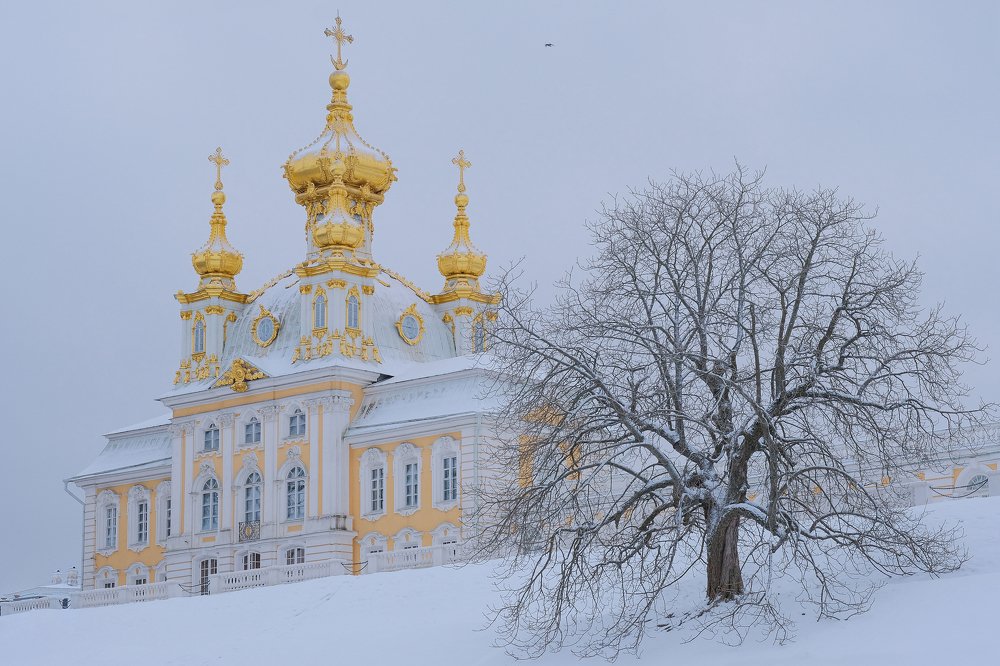 Photograph by Олеся Неволина-Лопатина