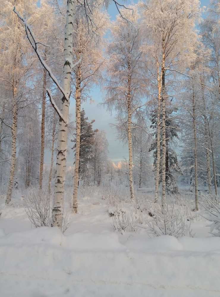 Photograph by Александр Трифанов