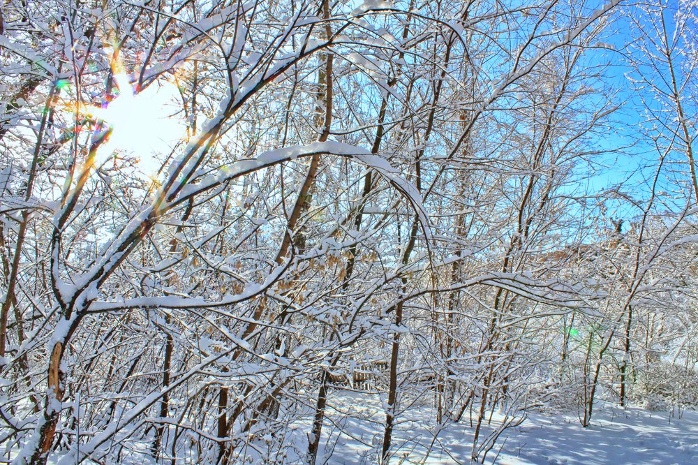 Photograph by Мари Полищук