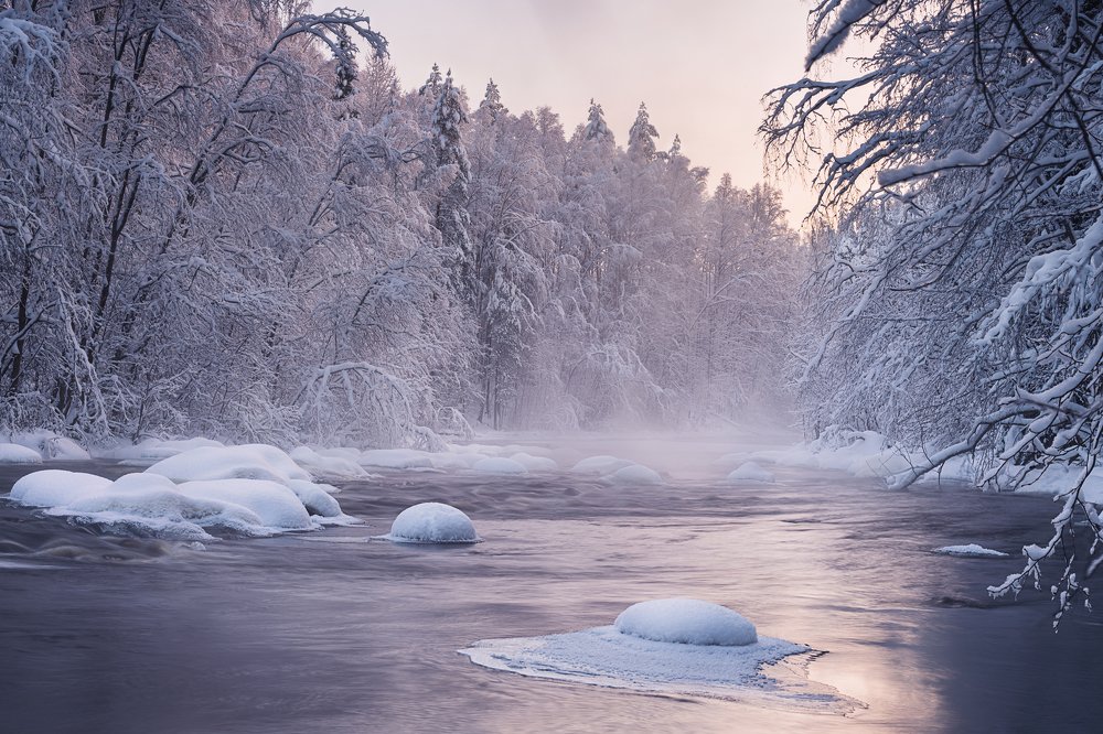 Photograph by Елена Лебедева