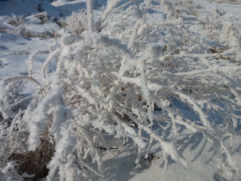 Photograph by Nazgul Usupbekova