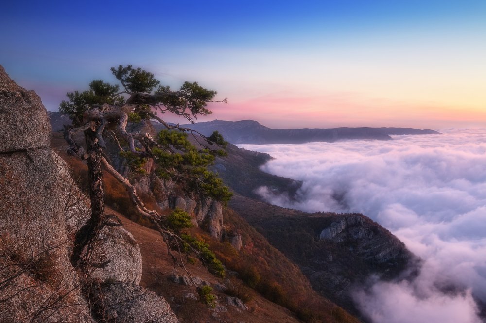 Photograph by Светлана Сагайдачная