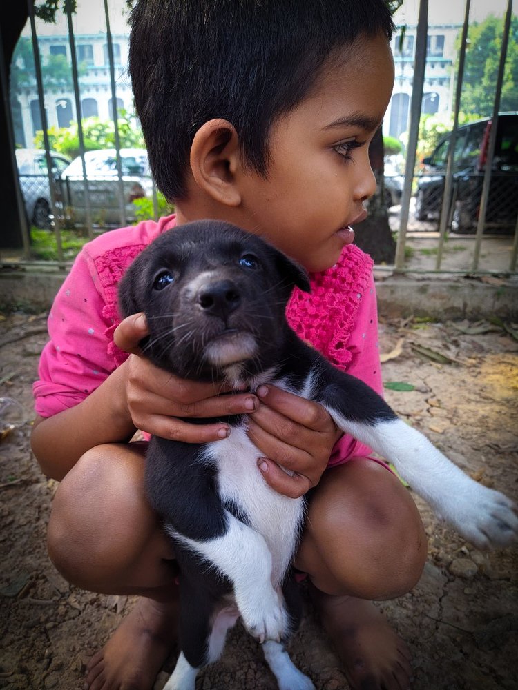 Photograph by Mohammad Jubair