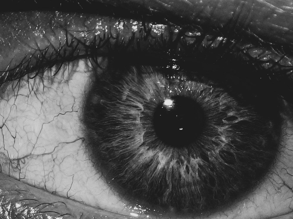 Фотография автора Andre Barbosa