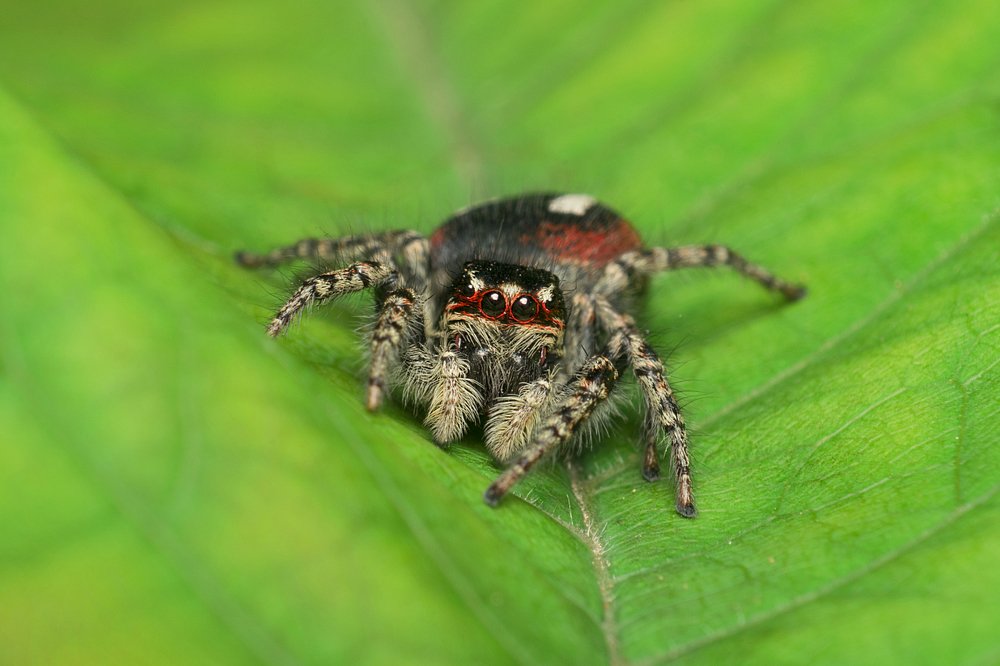 Photograph by Mahdi Sarikhani
