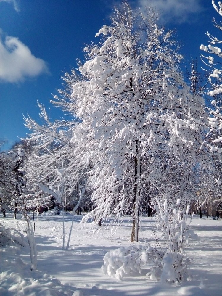 Photograph by Адамян Анна