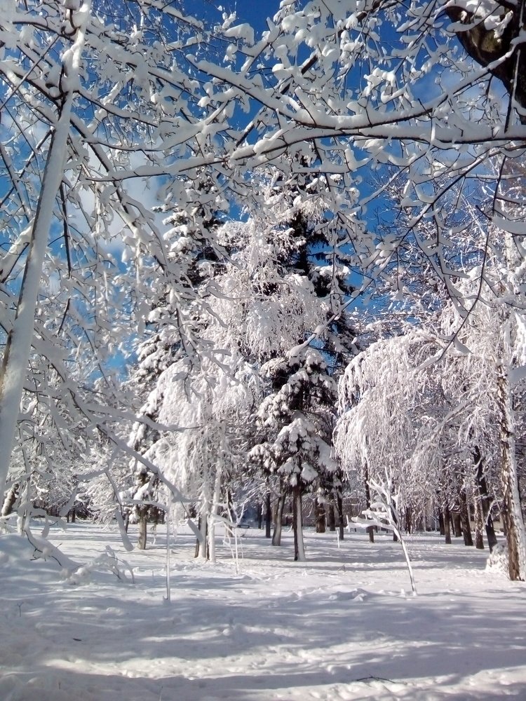 Photograph by Адамян Анна