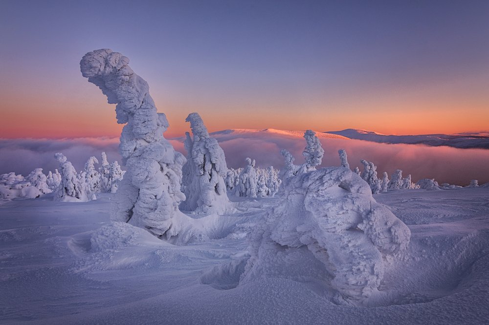 Photograph by Martin Morávek