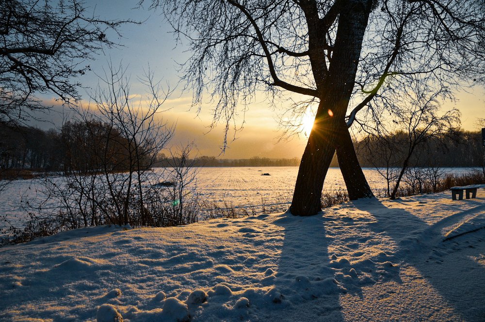 Фотография автора Justyna Jeżak