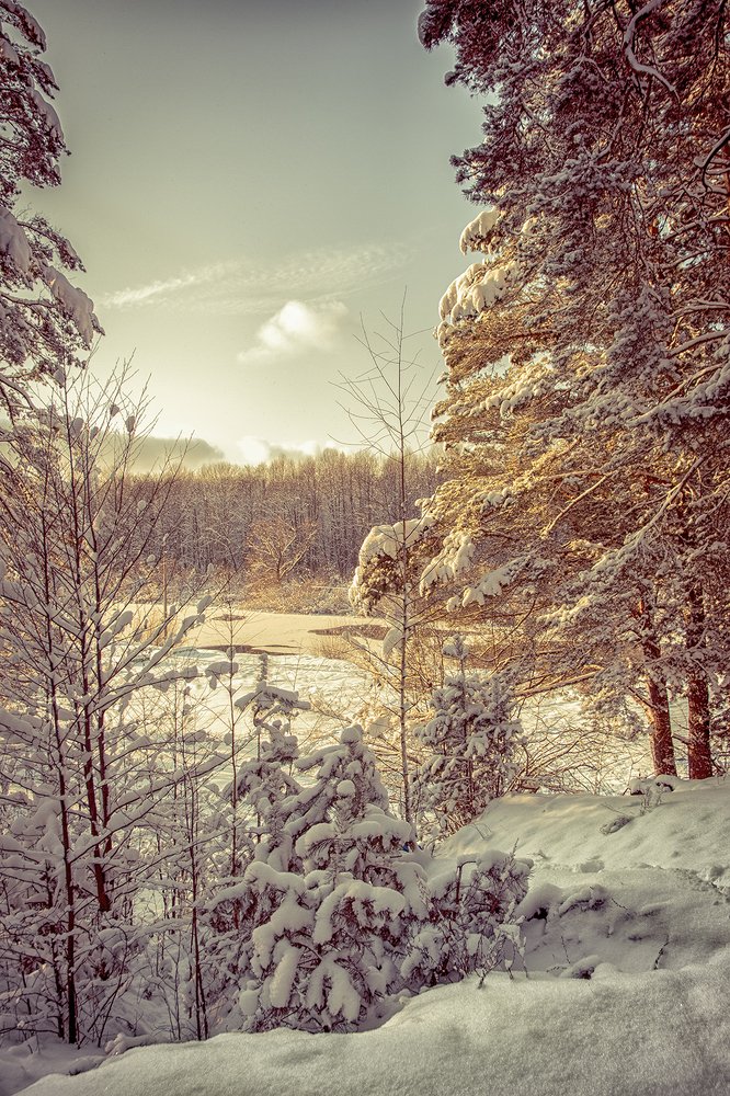 Photograph by Алена