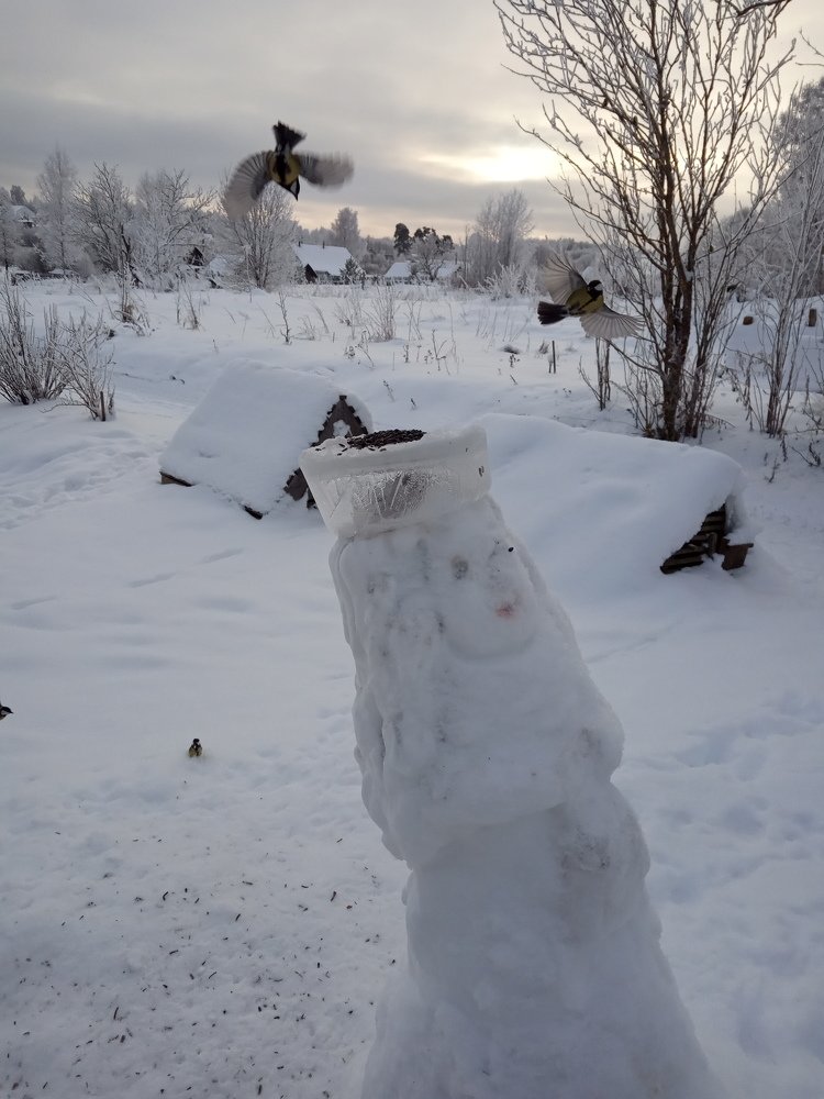 Photograph by Любовь Шаврина