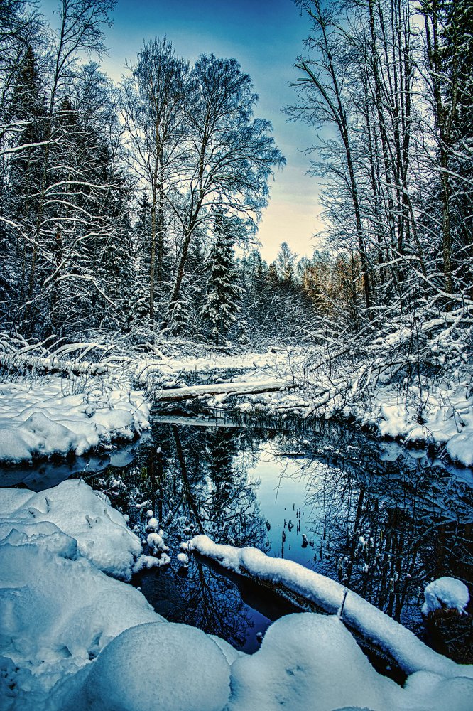 Photograph by Sandra Ko