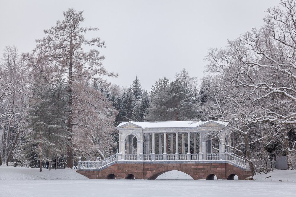 Фотография автора Анатолий Гарин