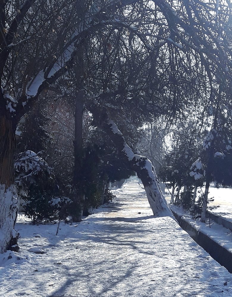 Photograph by Лариса Фомина