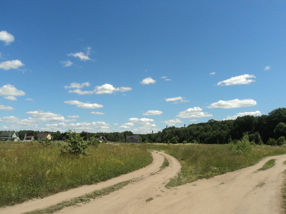 Photo #5550781