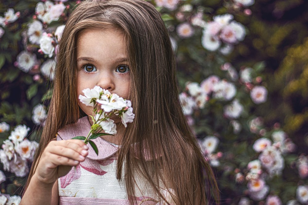 Photograph by Sandra Ko