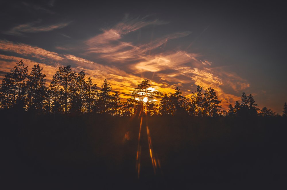 Поездной закат.