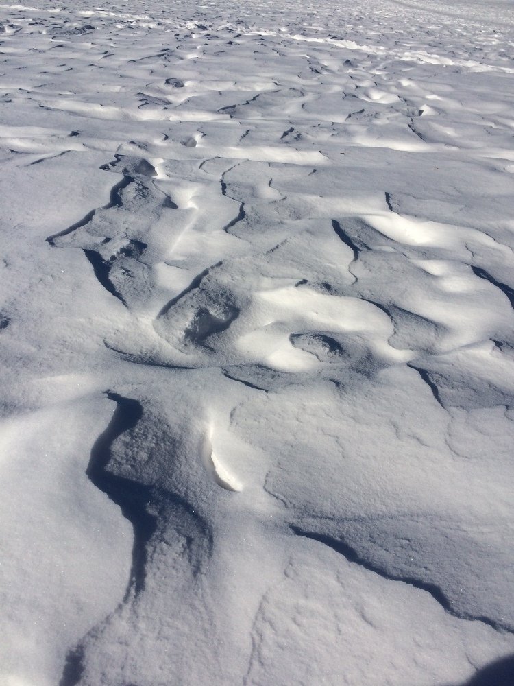 Морозные узоры на Финском заливе
