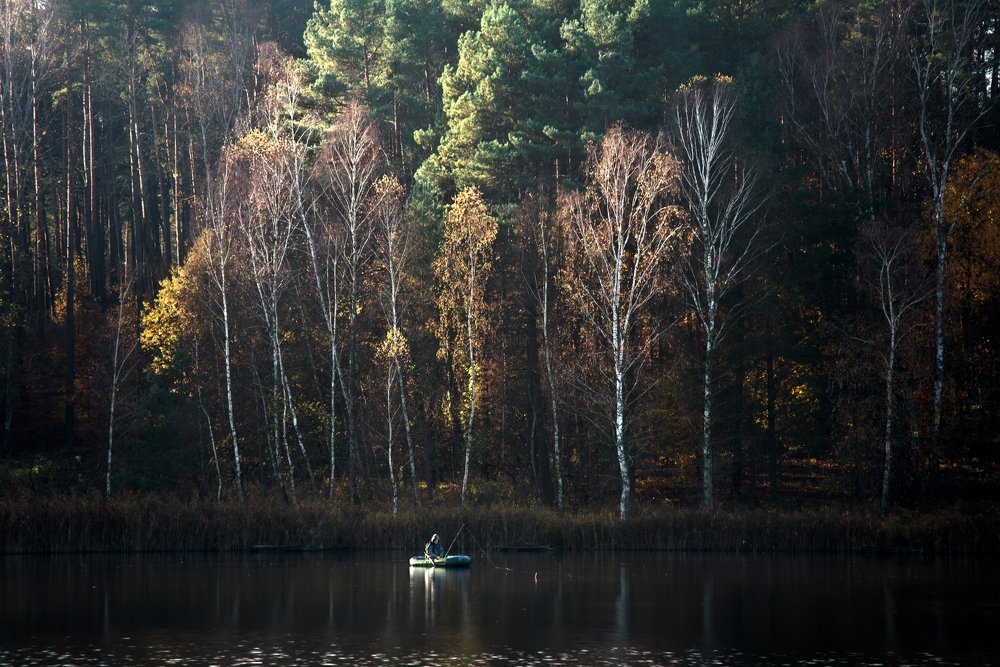 Fishing in the autumn morning sun light