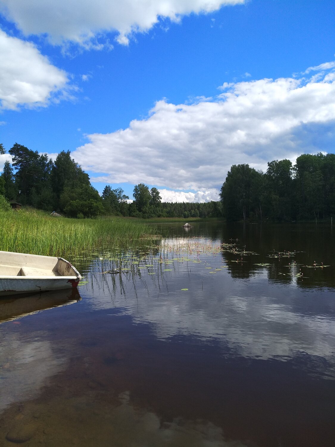 Photo #5550964