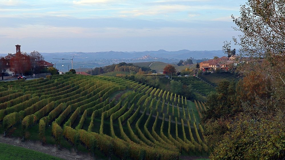 Фотография автора Nicolò Lagona