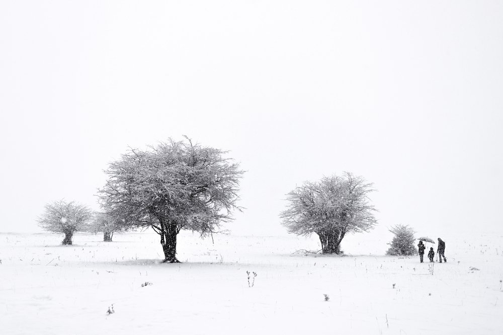 Photograph by Елизавета Калинина