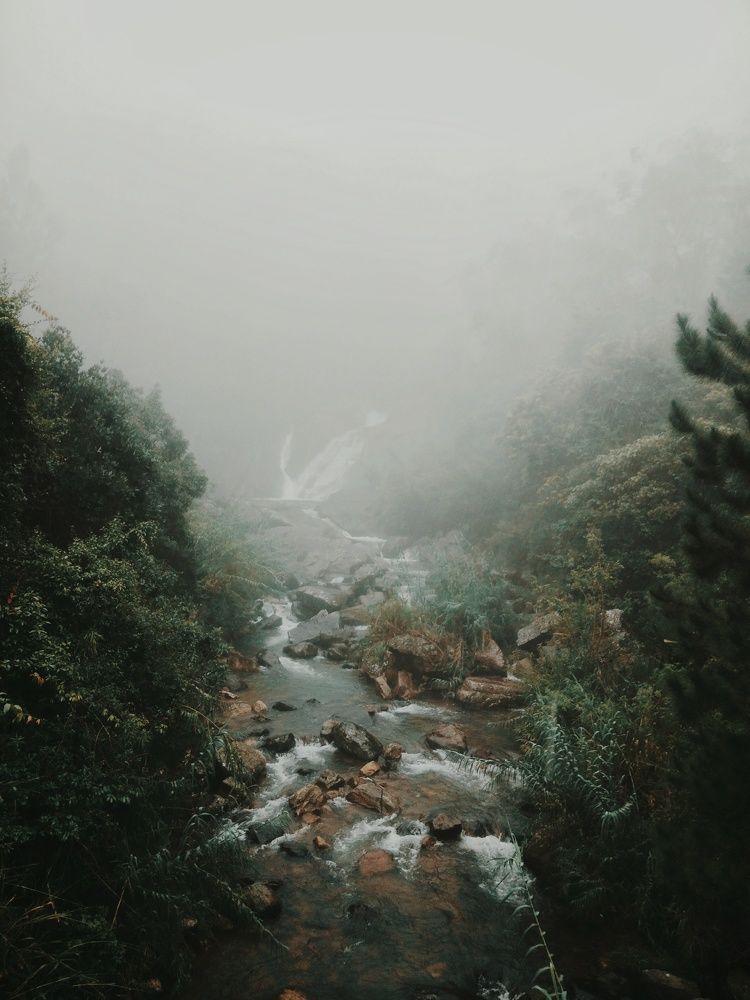 Photograph by  Hemal Perera