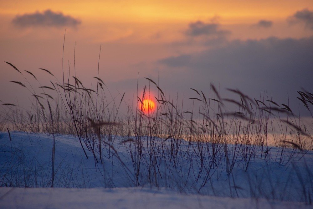 Фотография автора Aлексей Игнатьев