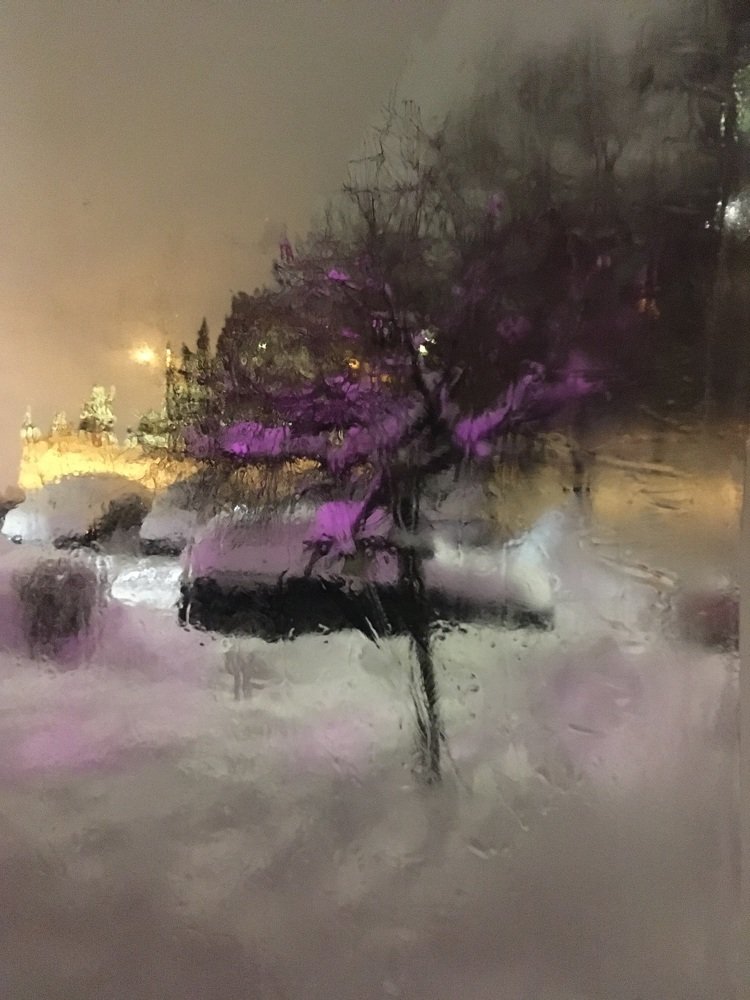 Winter sherry