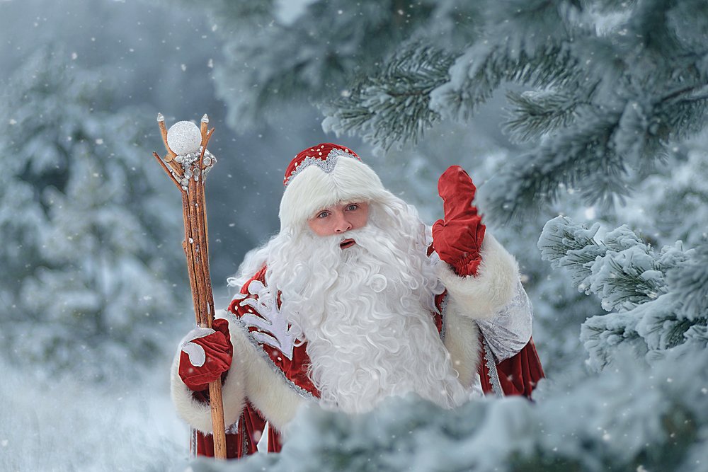 Photograph by Анастасия Камалова