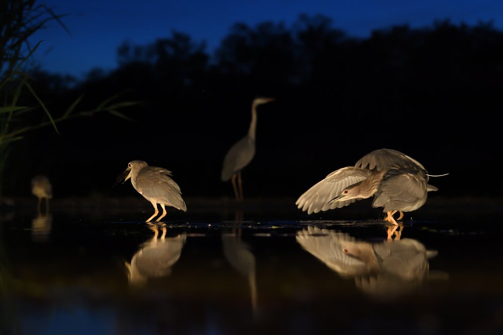 Photograph by Juraj Benčík