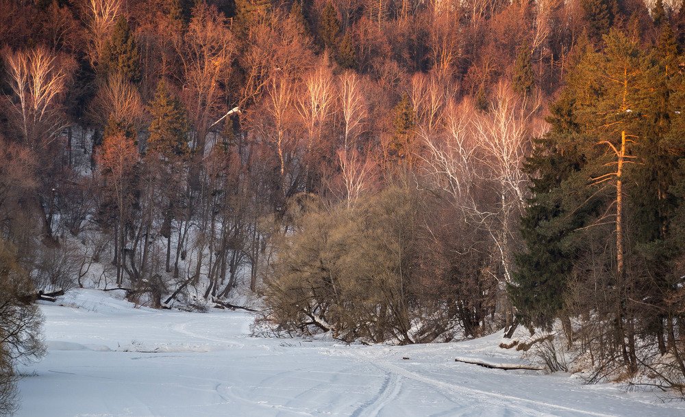 Photograph by Максим Мозжухин