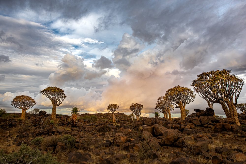 Photograph by Марина Сидоренко