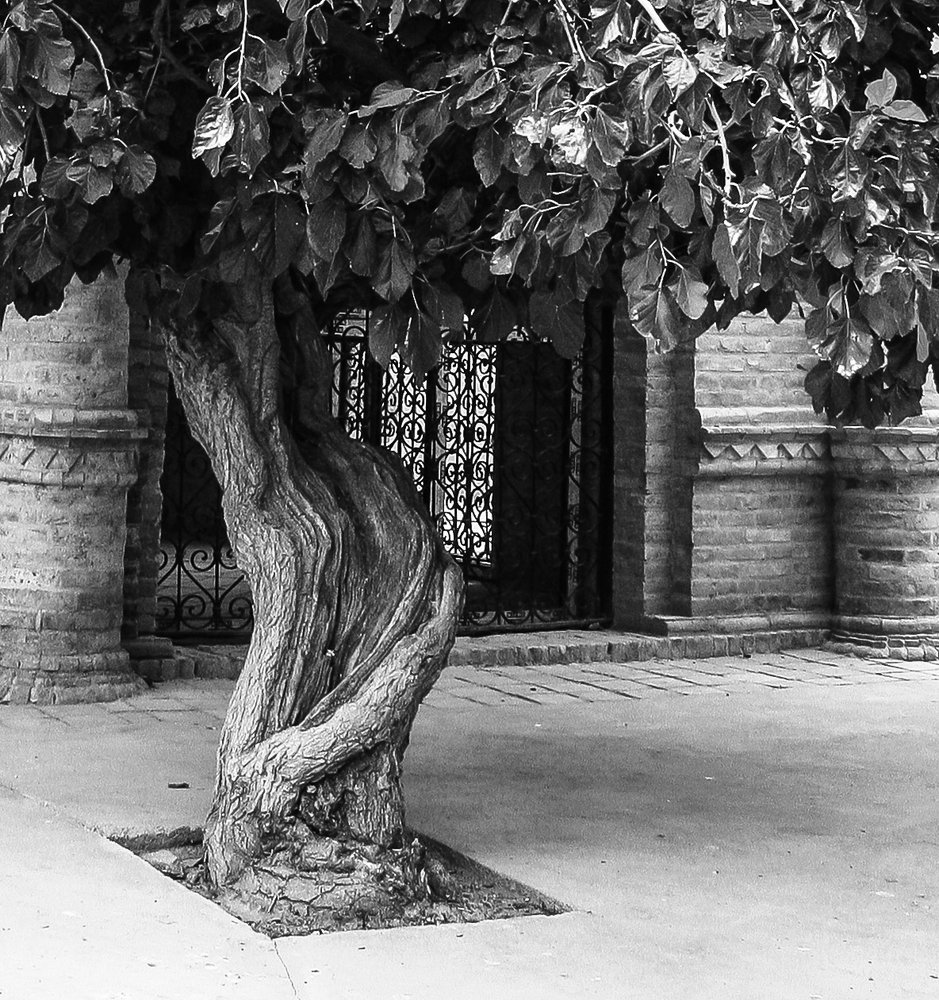 Photograph by Лариса Фомина