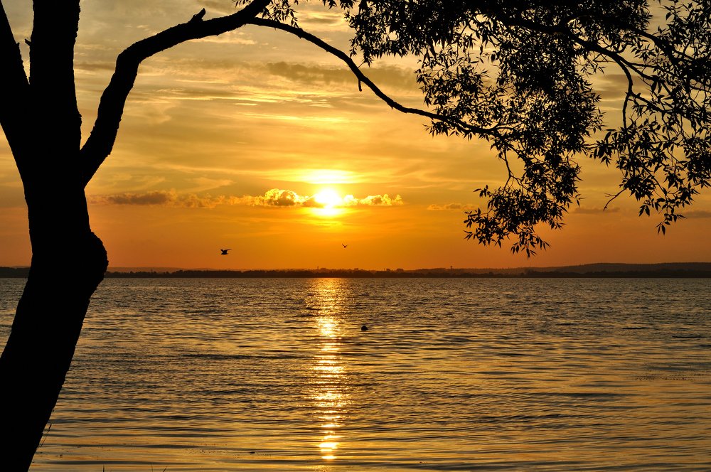 Photograph by Евгений