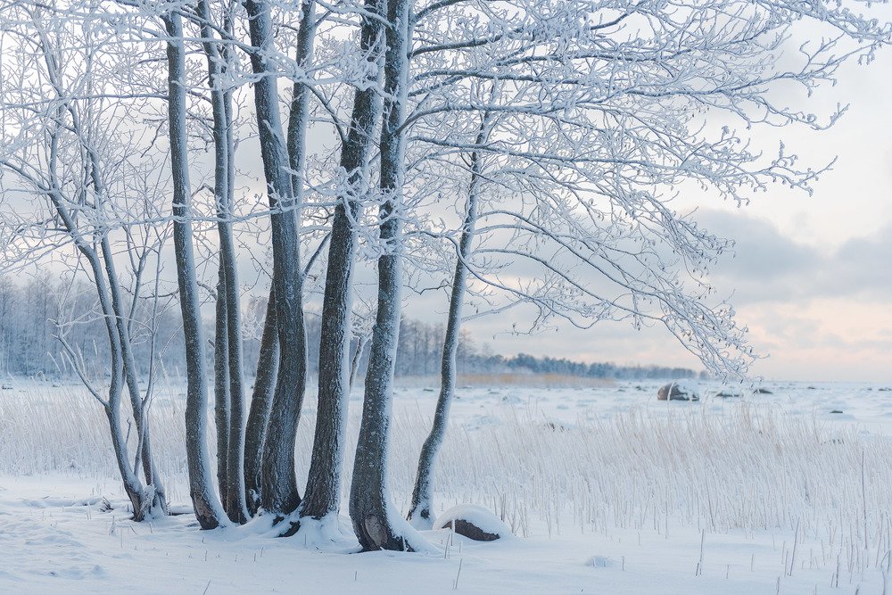 Photograph by Крицак Ольга