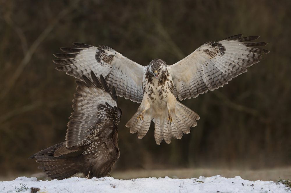 Photograph by Ernestas Balcikonis