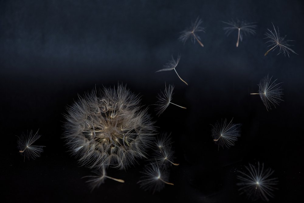 Photograph by Svetlana Milcheva