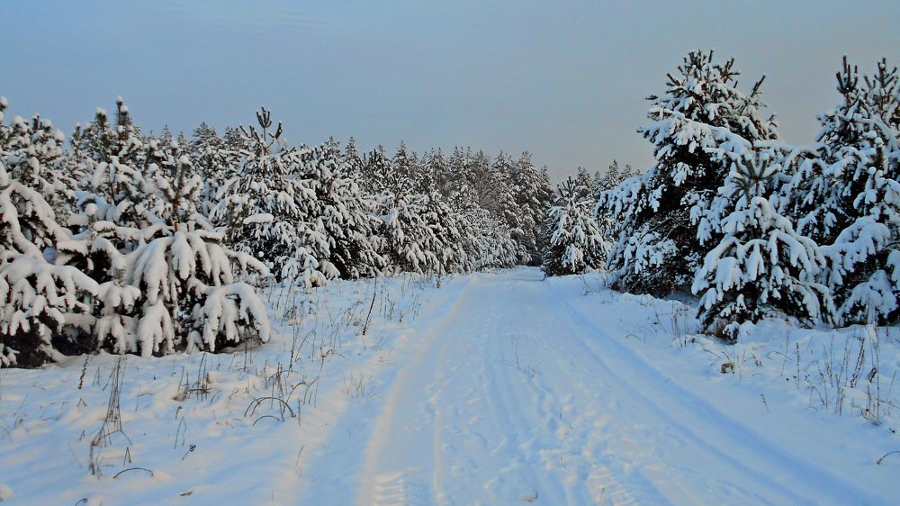 Photograph by Валерий Талейко