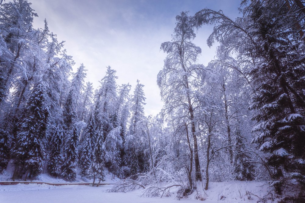 Photograph by Евгений Волосков