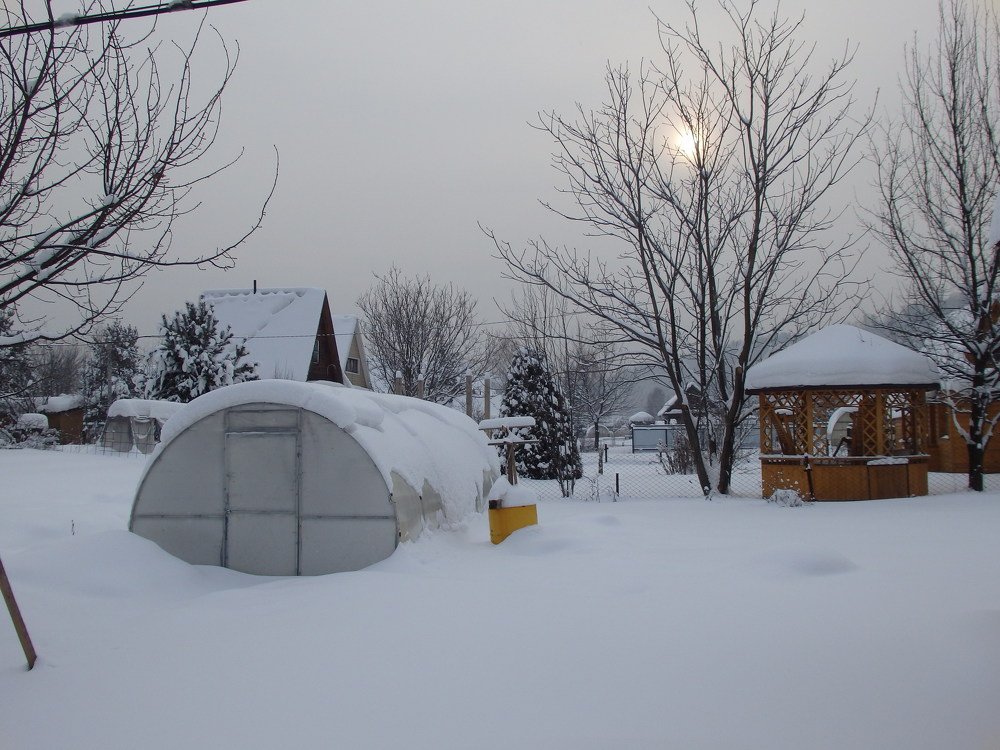 Фотография автора Александр Осинцев