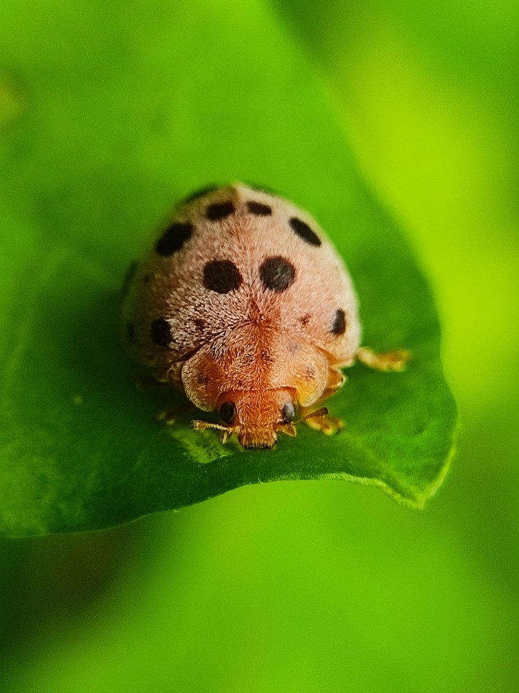 Photograph by Rojithan