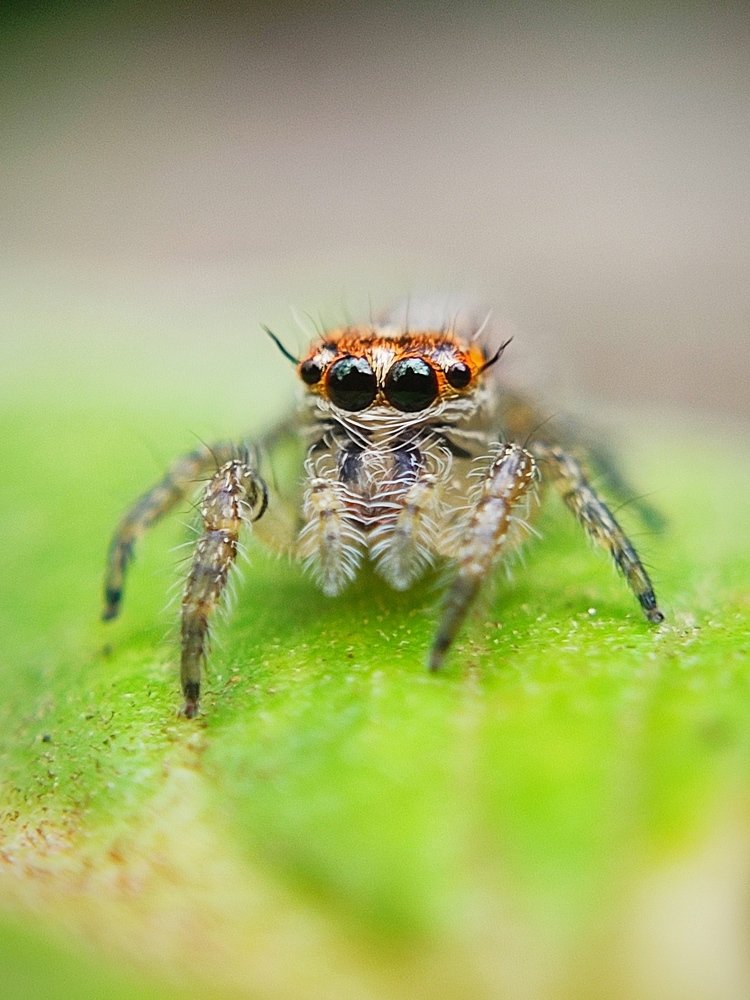 Photograph by Rojithan