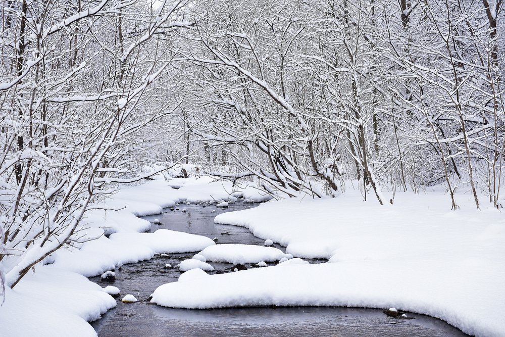 Photograph by Игорь Ковалёв