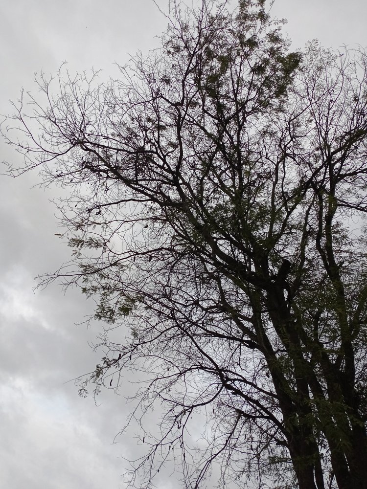 Photo #5552198