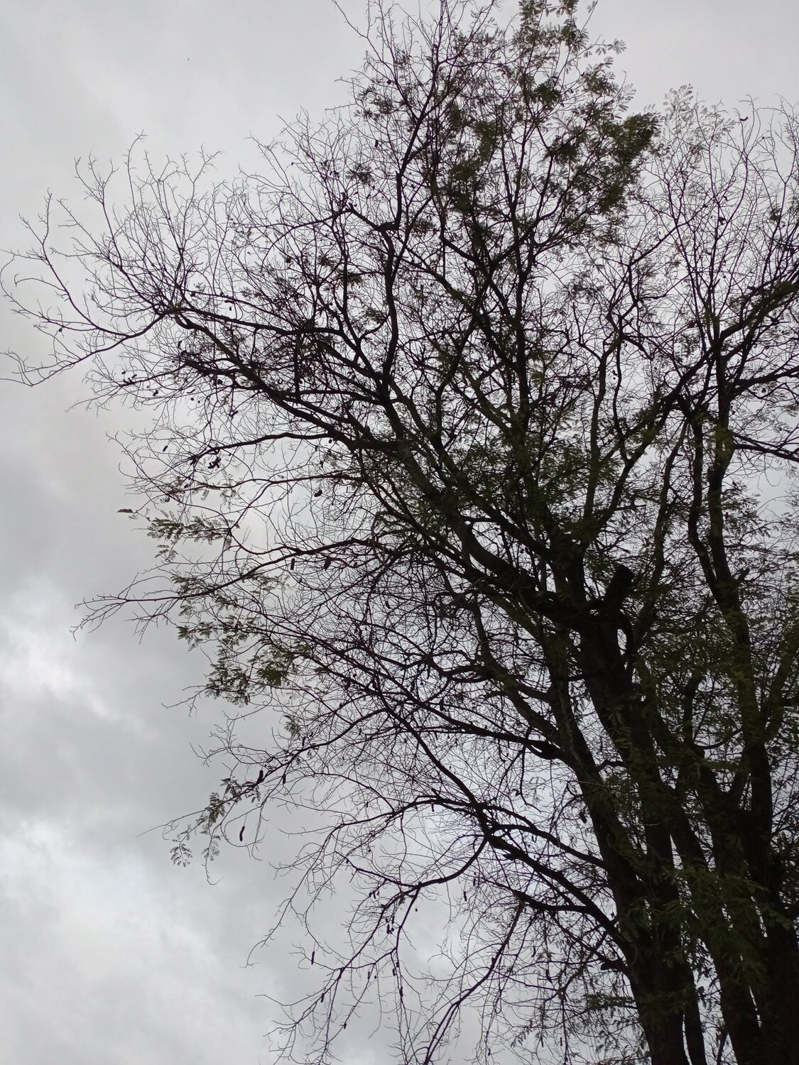 Photo #5552198