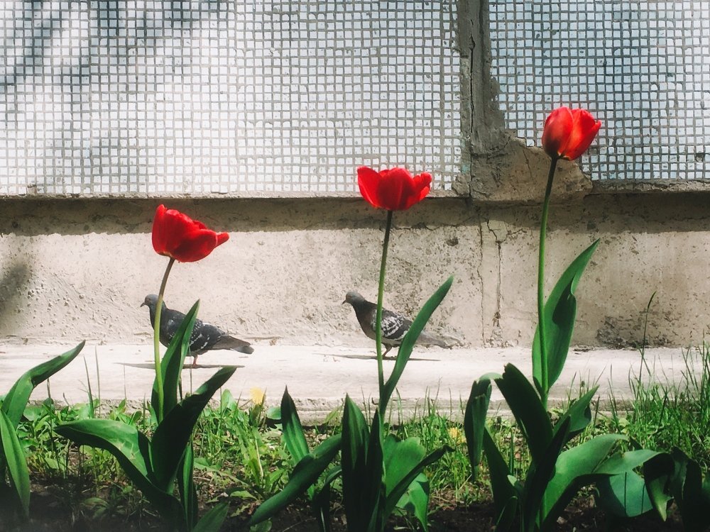 Photograph by Александр Майоршин