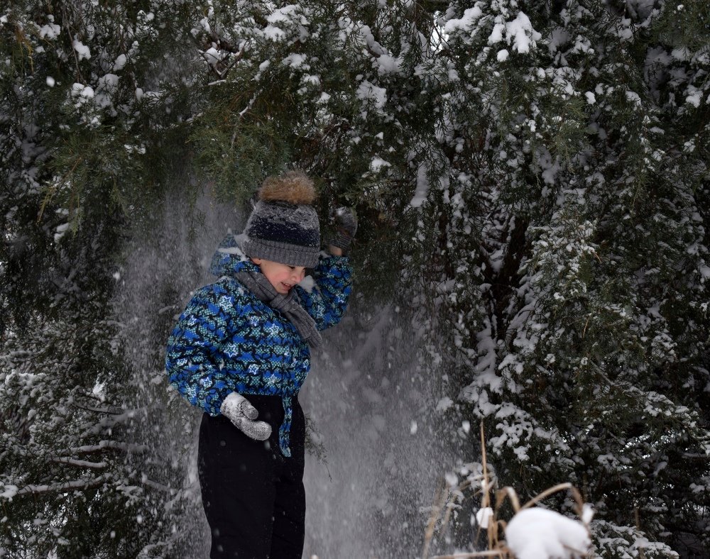 Photograph by Ольга Левицкая