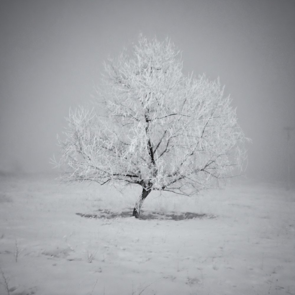 Photograph by Ислам Мирсаитов