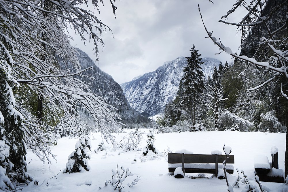 Photograph by Владислав